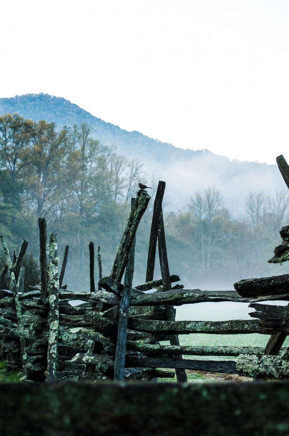 Free Image of Bird Standing on Top of Wooden Fence 