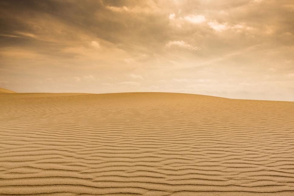 Free Image of Lone Tree in Desert Landscape 