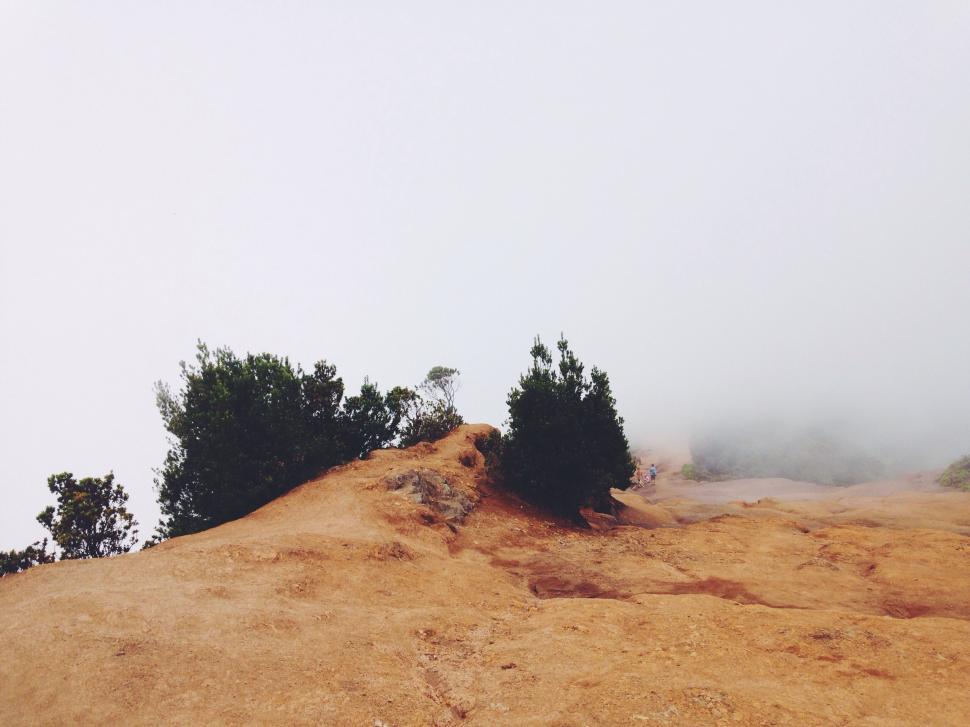 Free Image of Trees Atop Dirt Hill 