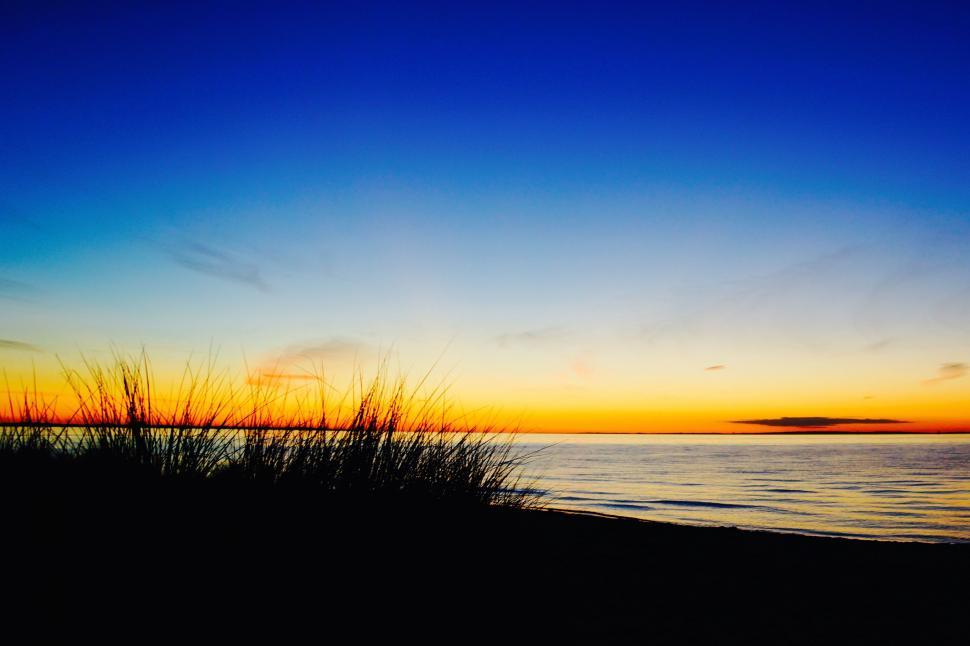 Free Image of Sun Setting Over Ocean With Tall Grass in Foreground 