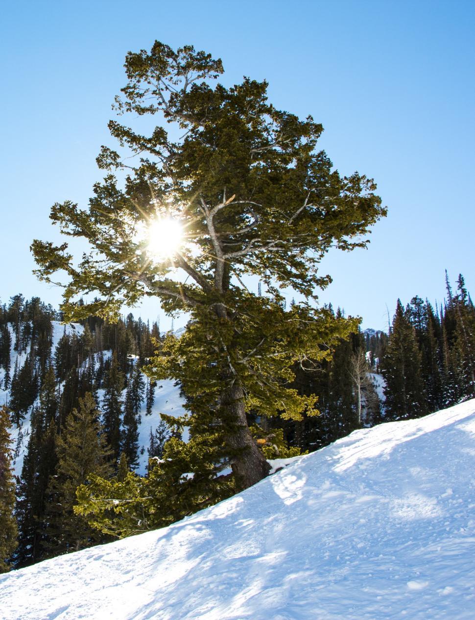 Free Image of Person Snowboarding Down Snow Covered Slope 