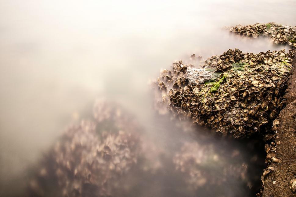 Free Image of Rocky Shoreline Surrounding Large Body of Water 