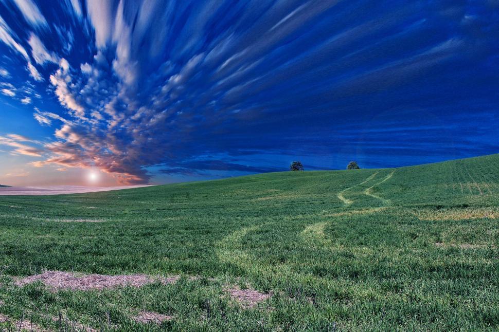 Free Image of Green Field With Blue Sky and Clouds 