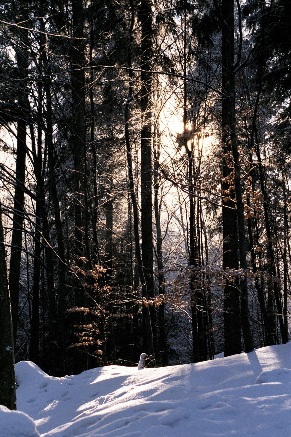 Free Image of Person Riding Snowboard Down Snow Covered Slope 