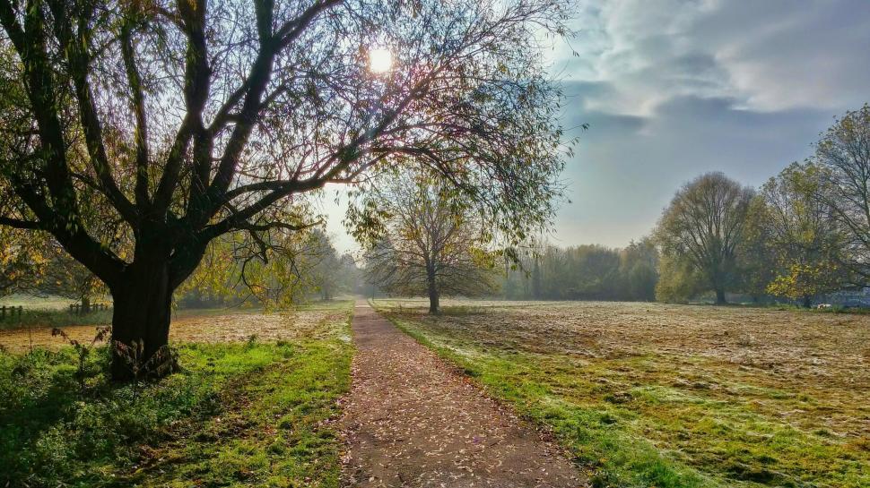 Free Image of Path Cutting Through Grassy Field 