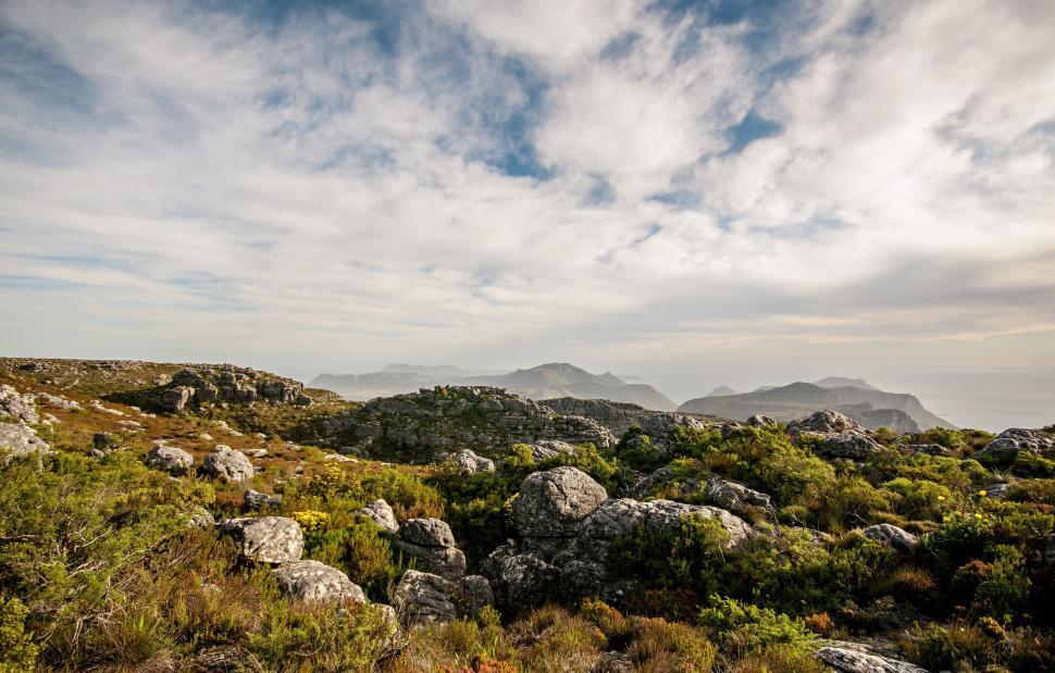 Free Image of Grassy Area With Rocks and Plants 