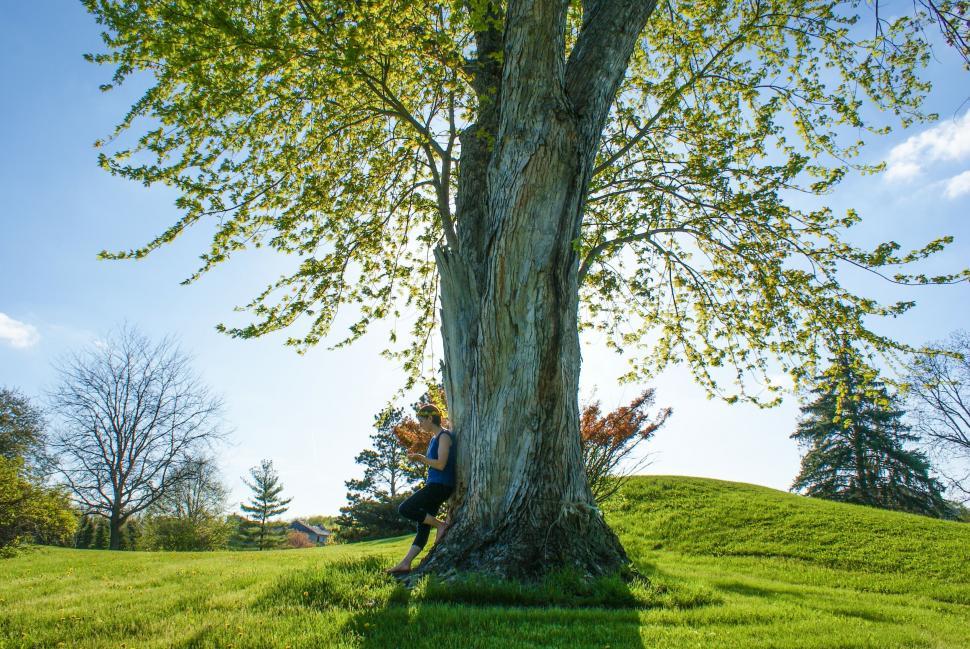 Free Image of Person Sitting in Tree on Grassy Hill 