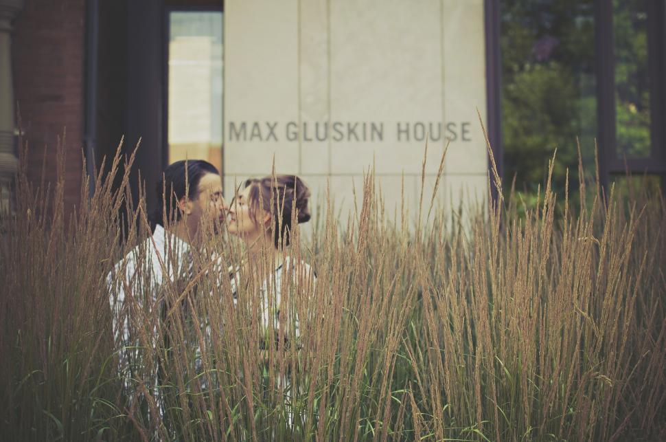 Free Image of Two Dogs Standing in Grass 