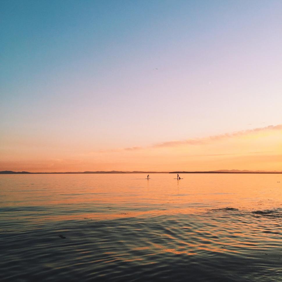 Free Image of Birds Flying Over Body of Water 