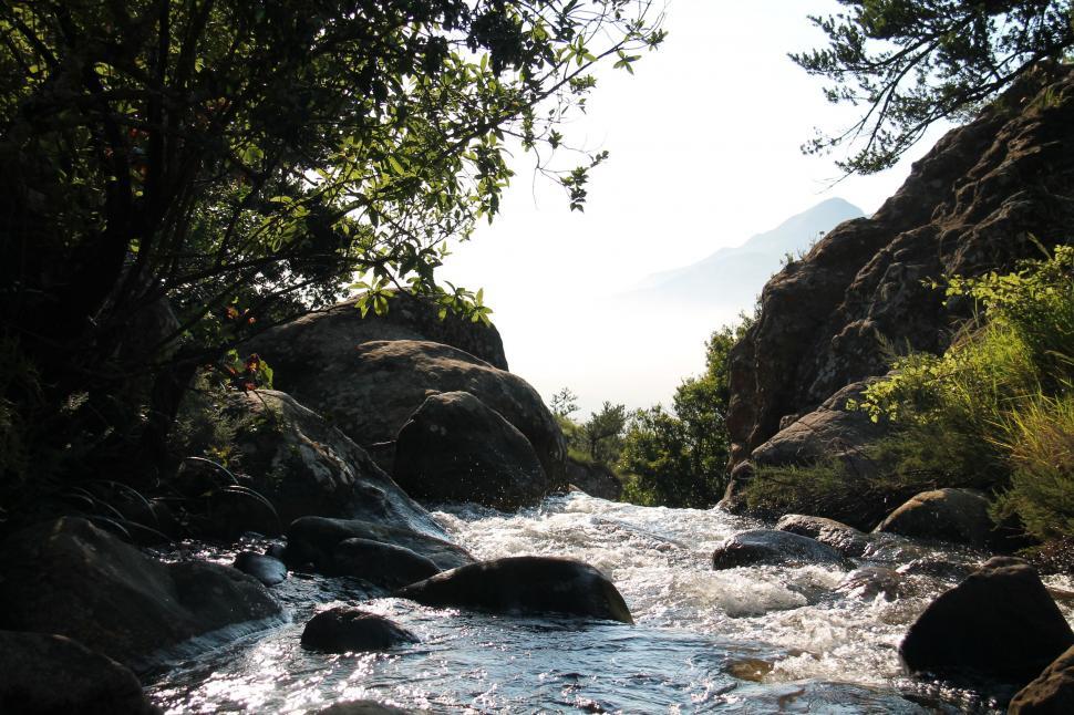Free Image of River Flowing Through Lush Green Forest 