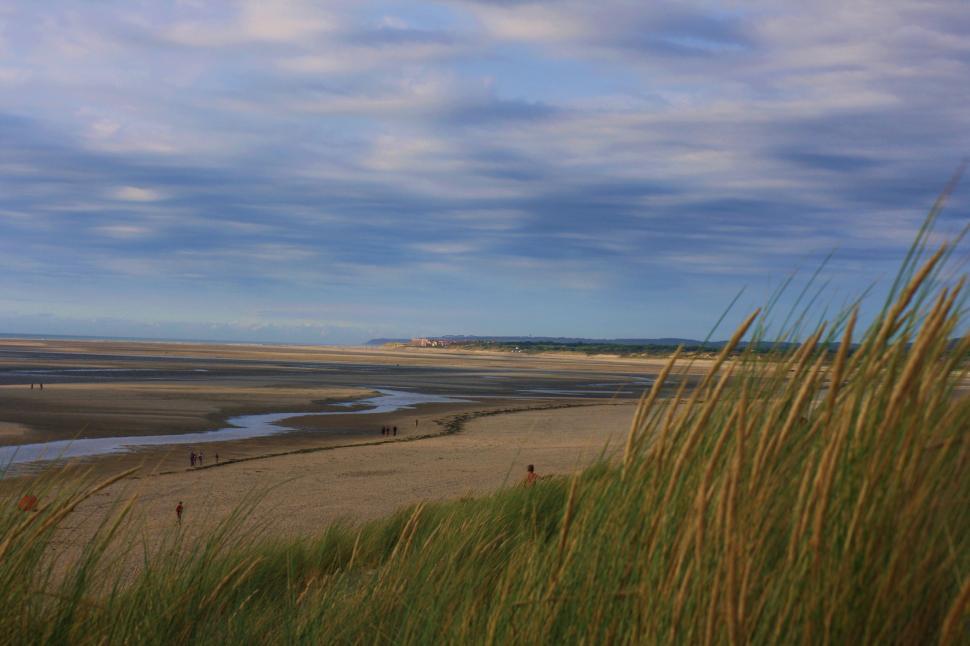 Free Image of Grassy Area With Water Body in Background 