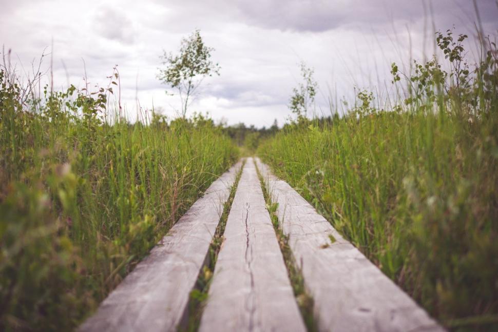 Free Image of Wooden Bench in Lush Green Field 