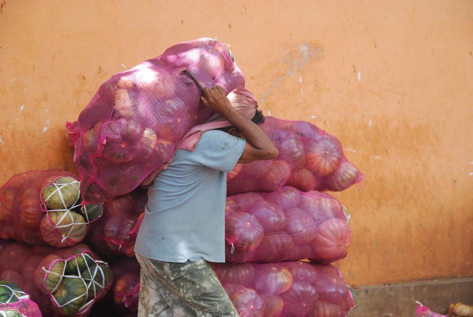 Free Image of Man Carrying a Large Pile of Onions 