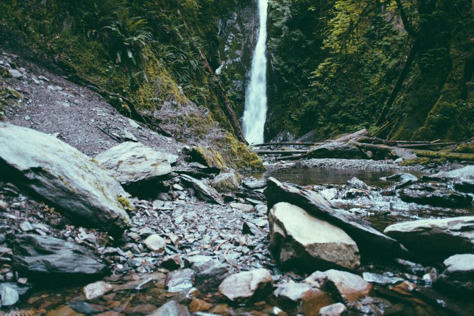 Free Image of Majestic Waterfall in Dense Forest 