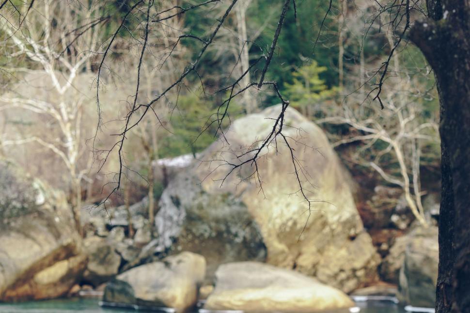Free Image of Stream Flowing Through Rocky Forest 