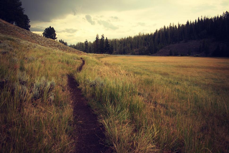 Free Image of Dirt Path Cutting Through Grassy Field 