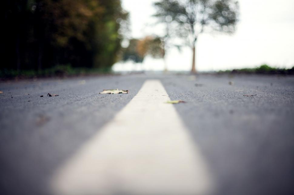 Free Image of Blurry Street With Tree in Background 