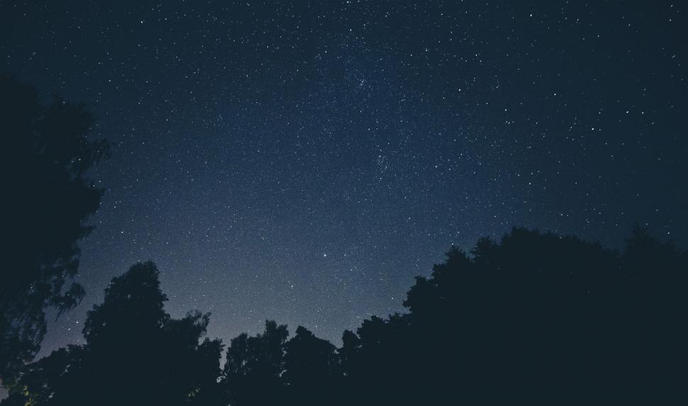 Free Image of Starry Night Sky With Trees 