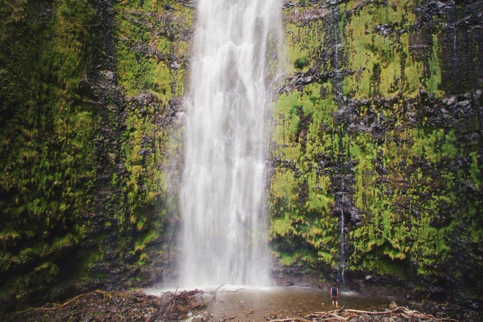 Free Image of Majestic Waterfall in Dense Forest 