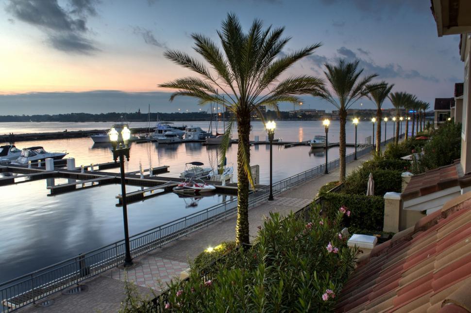 Free Image of Boats and Palm Trees at Marina 