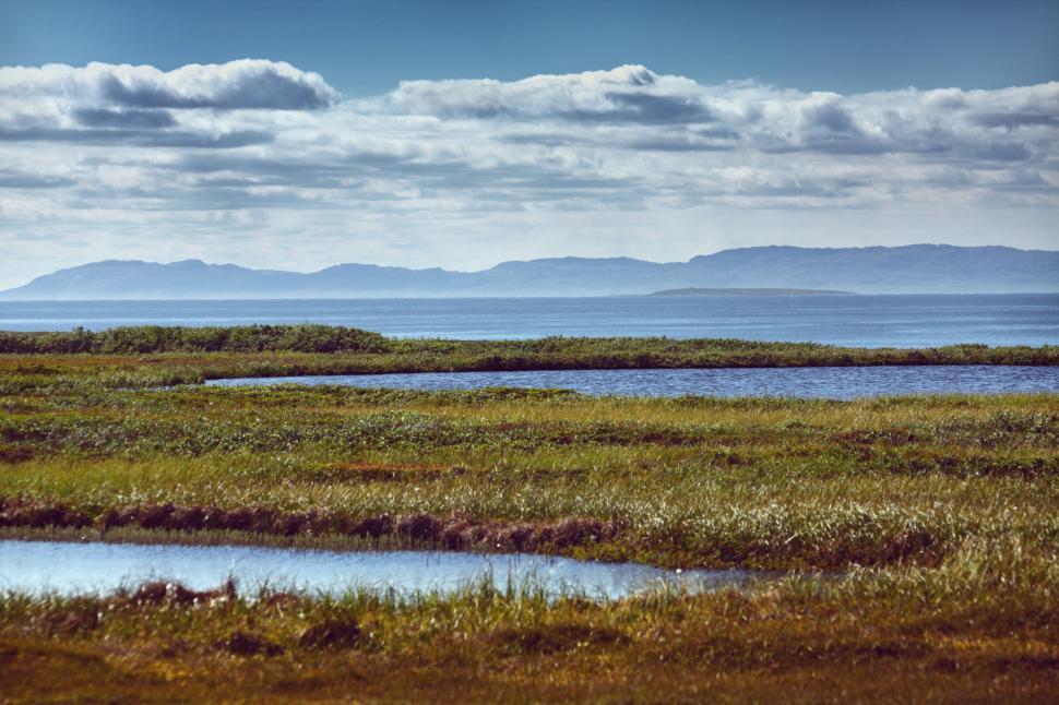 Free Image of Large Body of Water Next to Lush Green Field 