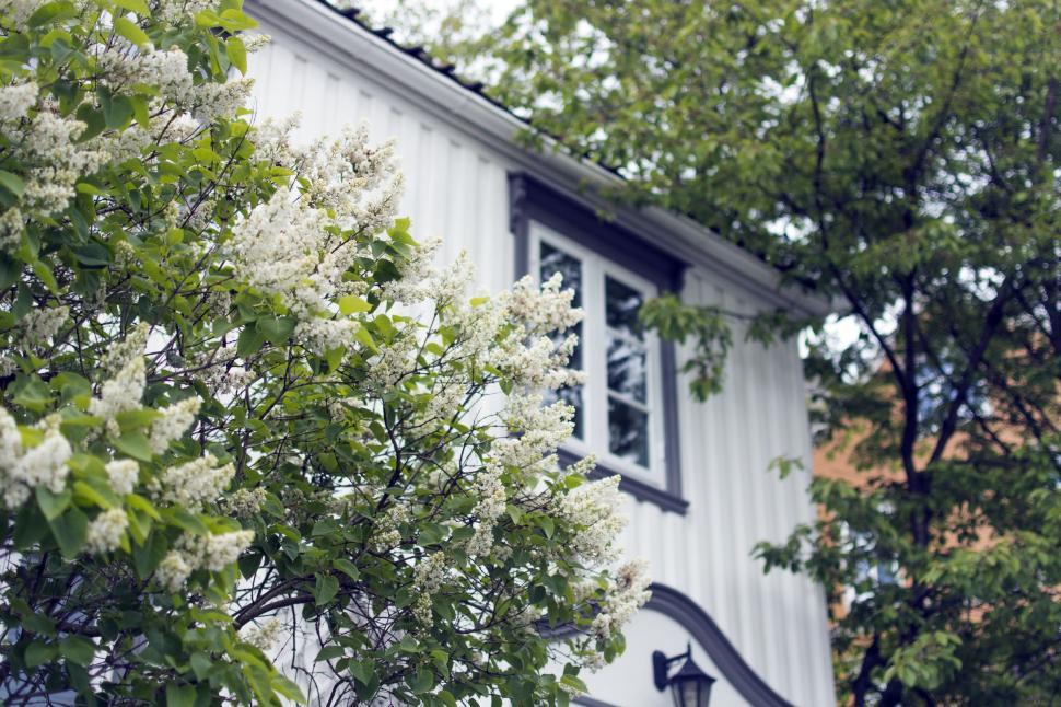 Free Image of White House With Clock on Front 