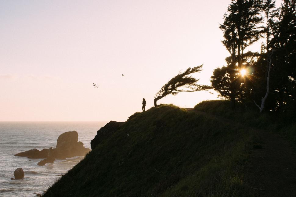 Free Image of Person Standing on Cliff Overlooking Ocean 