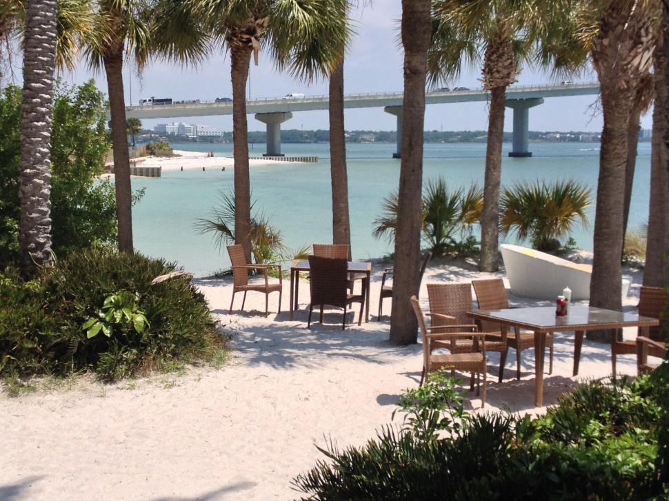 Free Image of Palm Trees, Chairs, and Bridge on Beach 