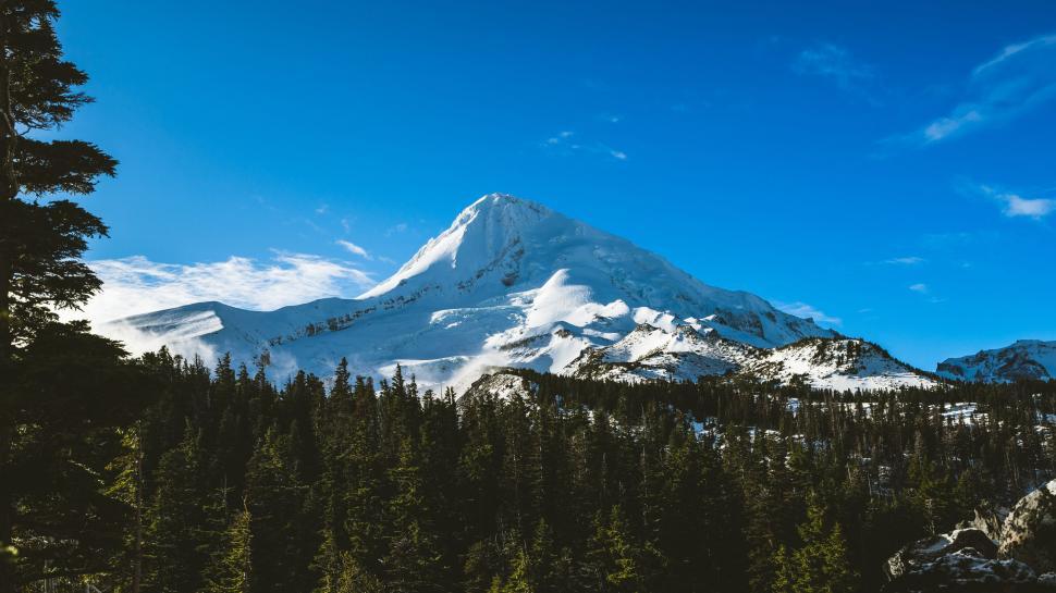 Free Image of Snow Covered Mountain Surrounded by Pine Trees 