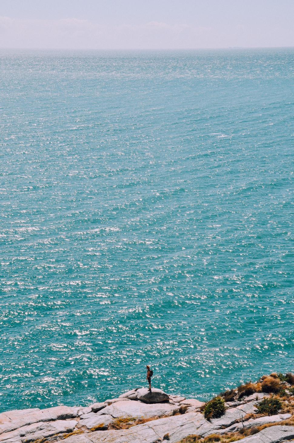 Free Image of Bird Standing on Rock Near Ocean 