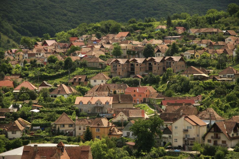 Free Image of Small Village Nestled in Forest 
