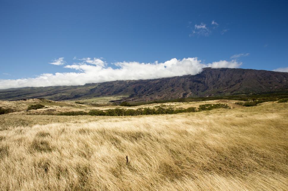 Free Image of Grassy Field With Mountain in the Background 