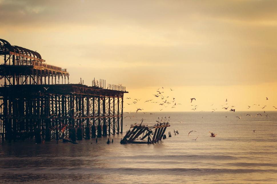 Free Image of Birds Flying Over Large Ocean Structure 