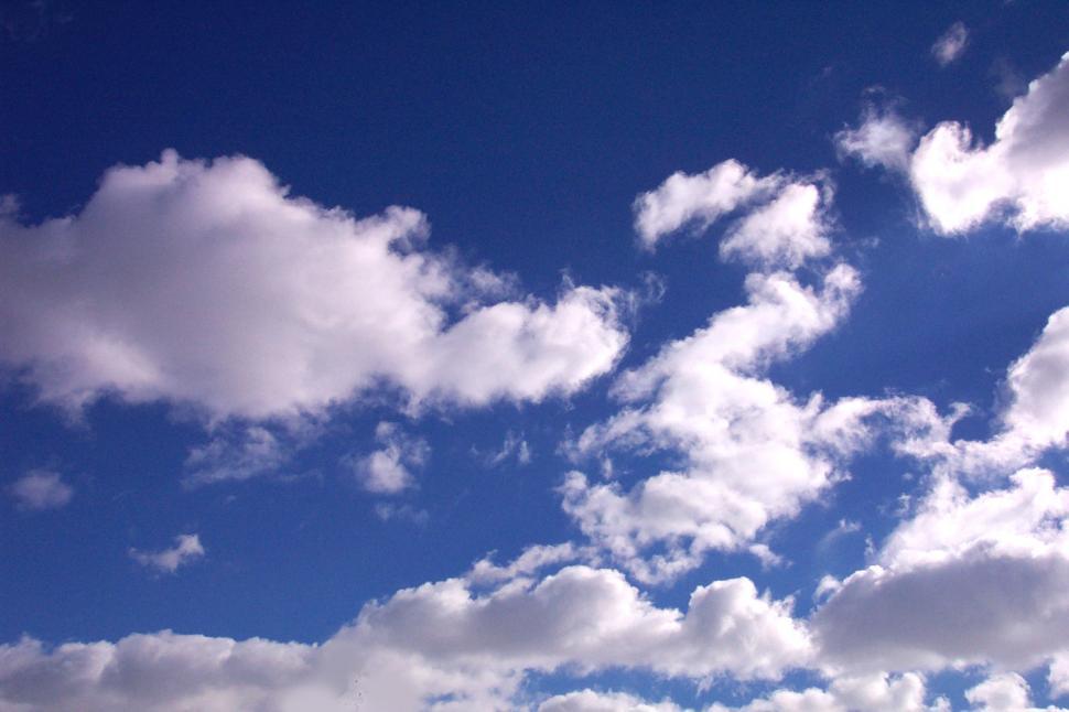 Free Image of Skyllama 