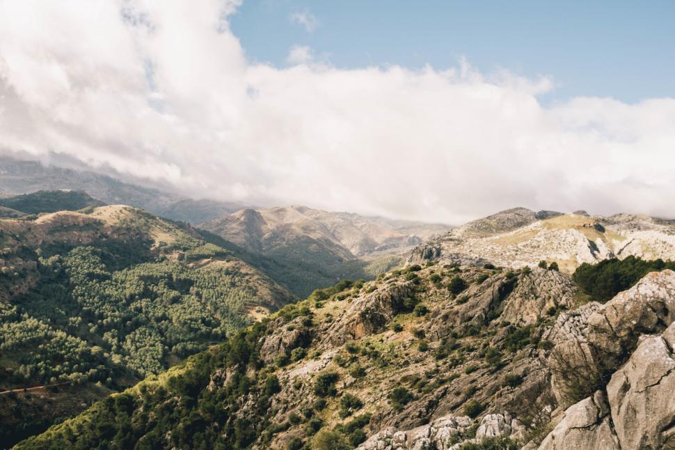 Free Image of Man Standing on Mountain Beside Lush Green Forest 