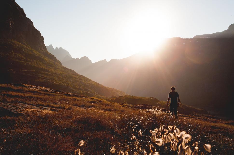 Free Image of Man Standing in Field 