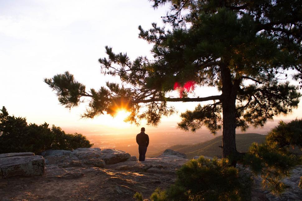 Free Image of Man Standing on Mountain Next to Tree 
