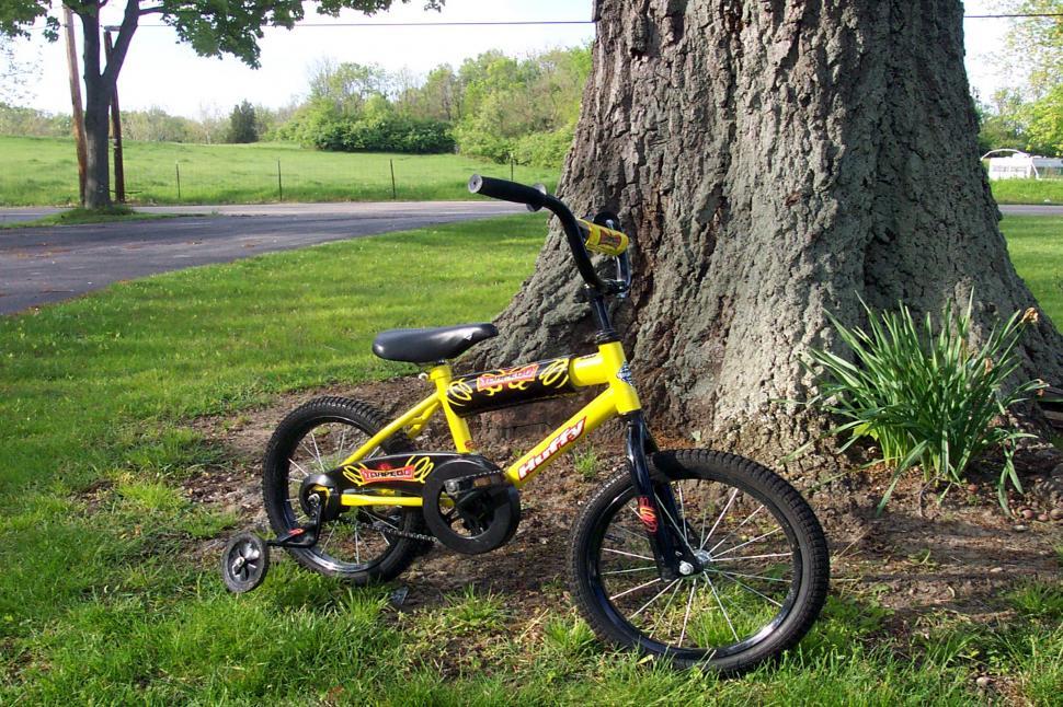 Free Image of Bike by the Oak 