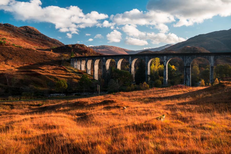 Free Image of Train Crossing Bridge in Field 