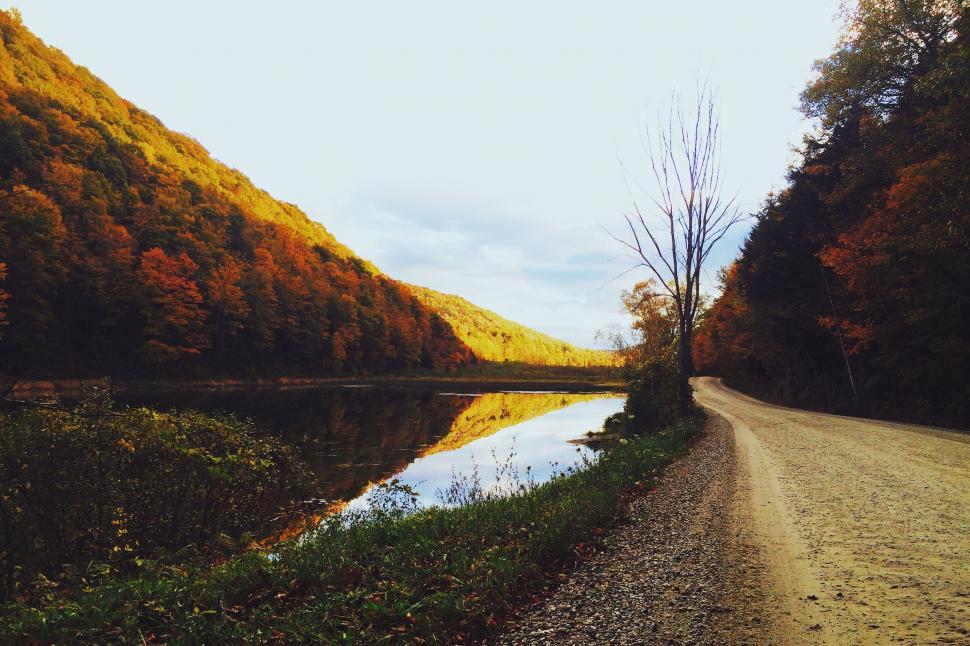 Free Image of Dirt Road Alongside Lake Surrounded by Trees 