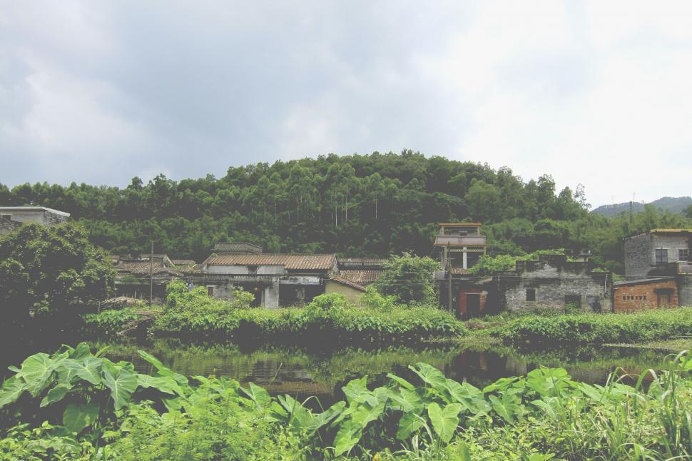 Free Image of Lush Green Hillside Covered in Trees 