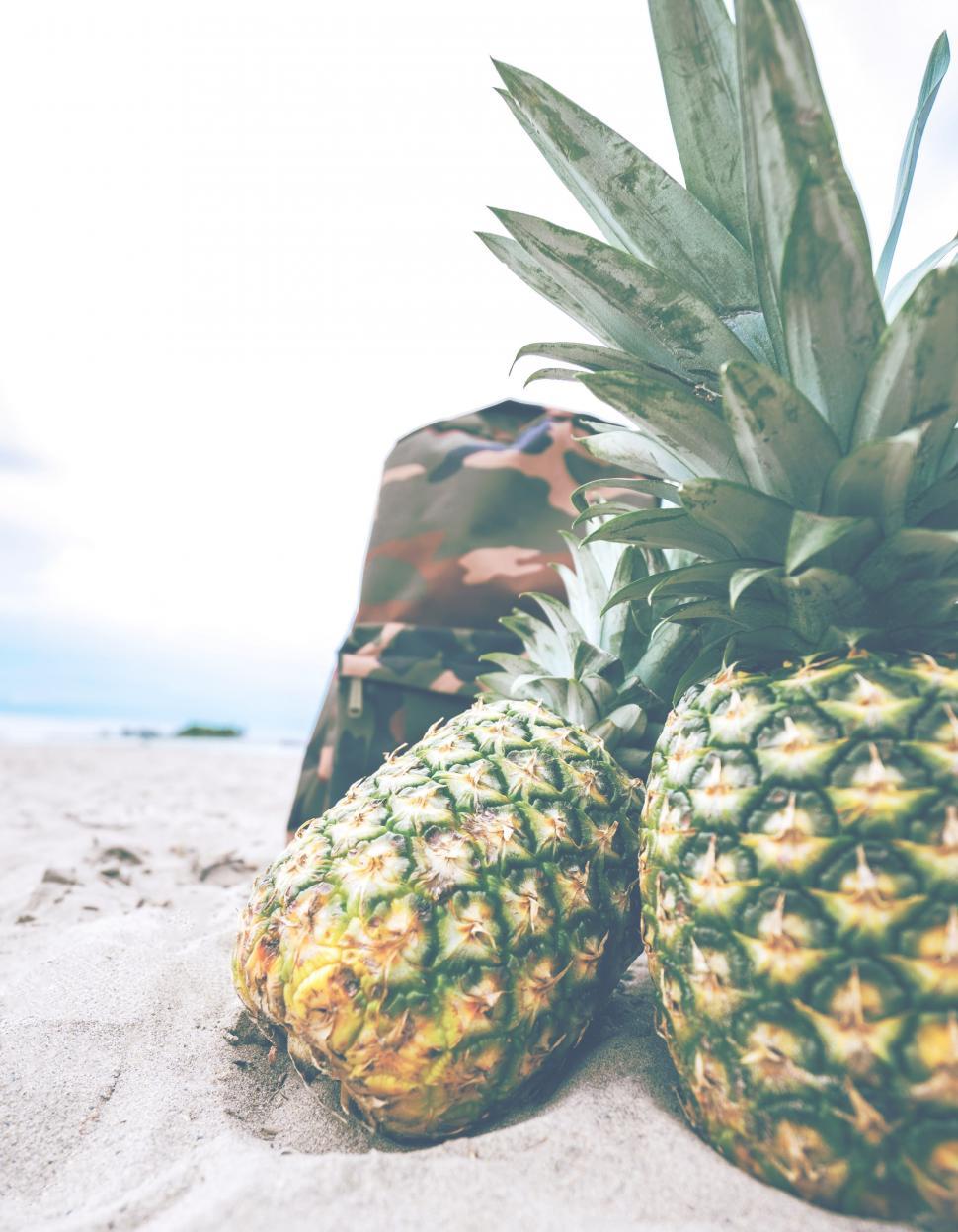 Free Image of Pineapples on Sandy Beach 
