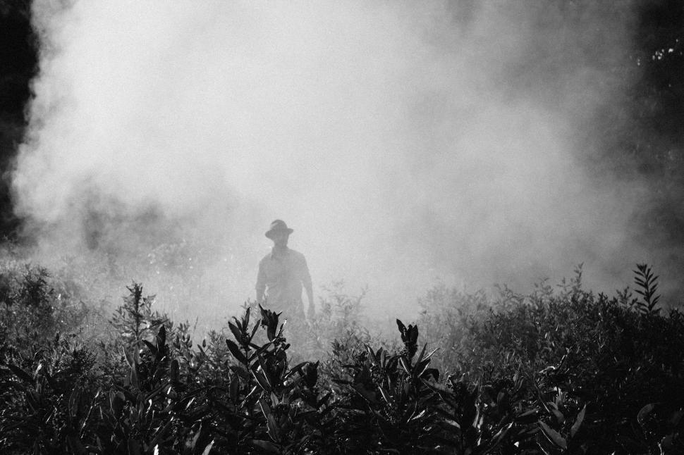 Free Image of Man Standing in Field 