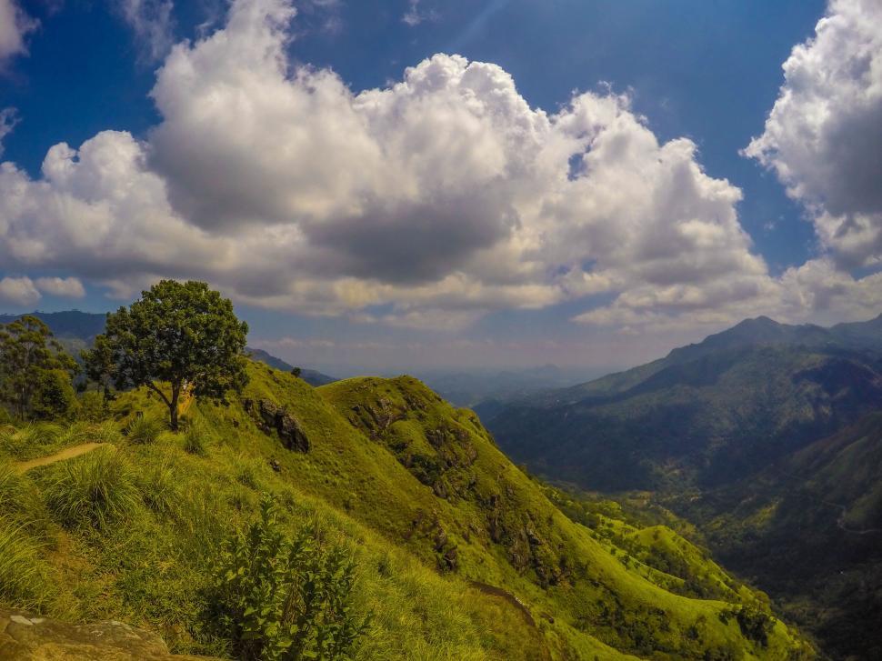 Free Image of Rolling Green Hillside Covered in Lush Grass 