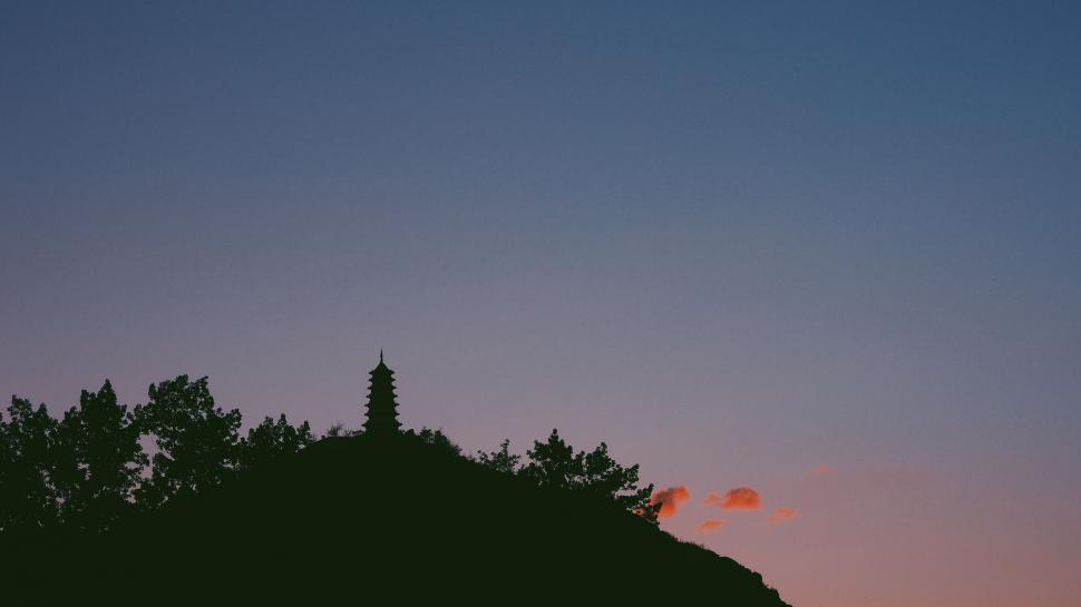 Free Image of Bird Flying Over Tree Covered Hill at Sunset 