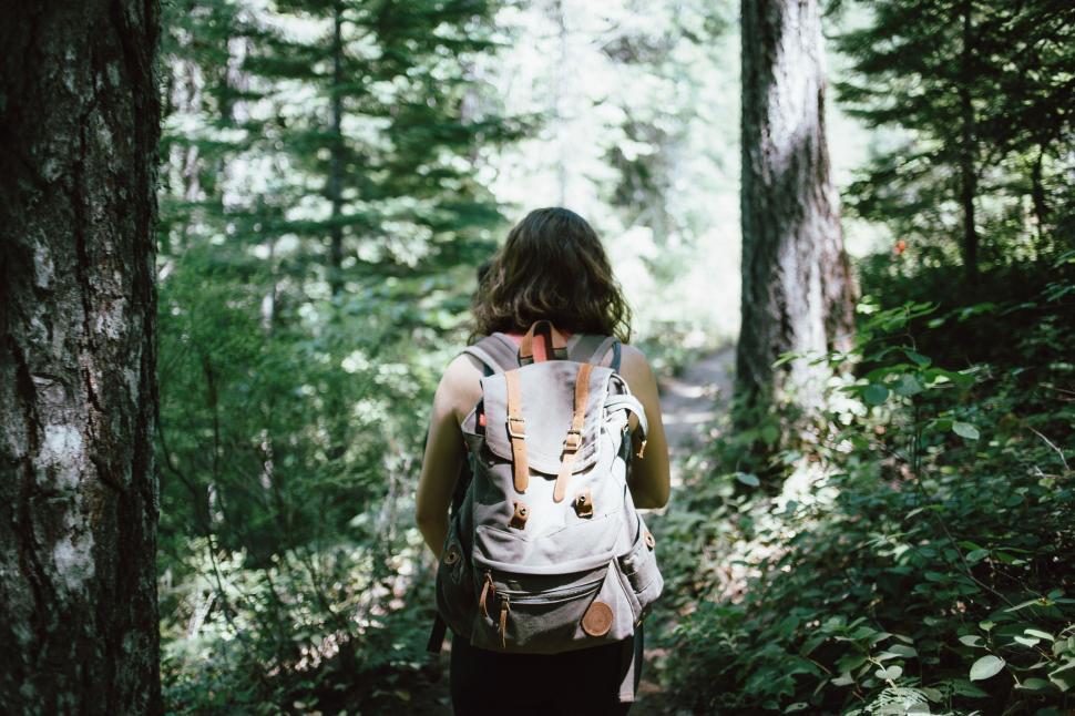 Free Image of Person Walking Through Forest 