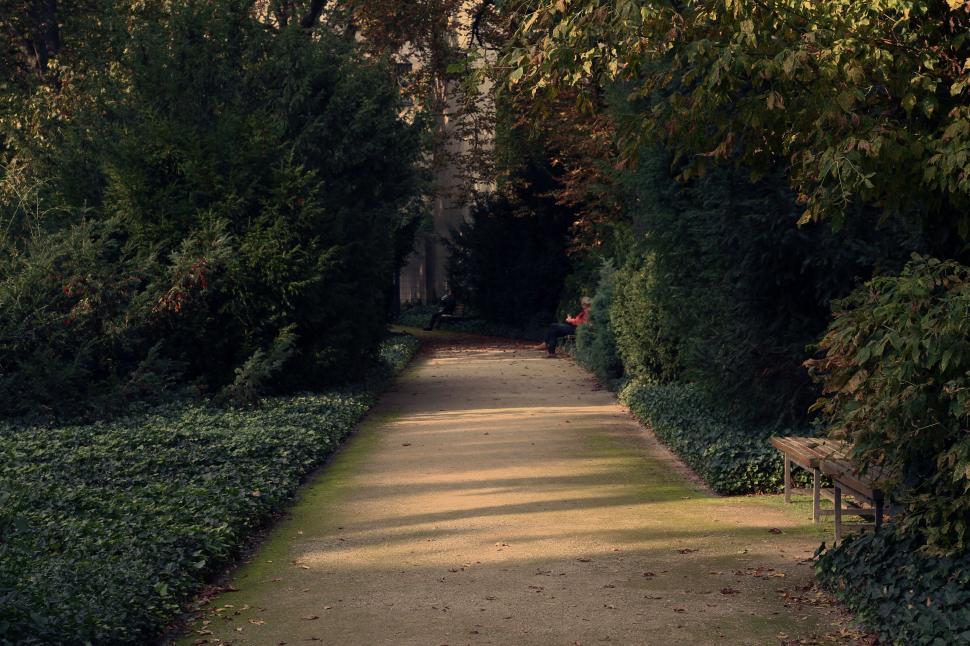 Free Image of Bench in the Middle of a Garden 