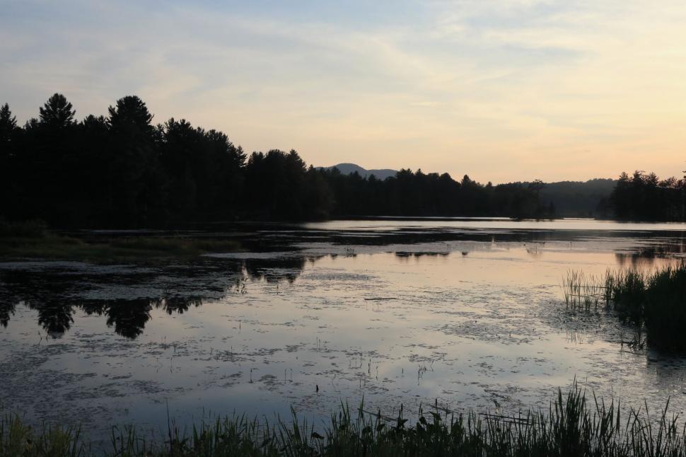 Free Image of Water Body Surrounded by Trees and Grass 