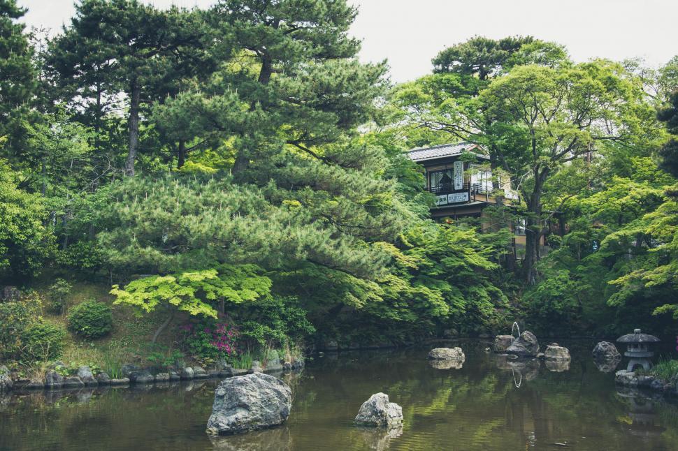 Free Image of Trees and Rocks Surrounding Pond 
