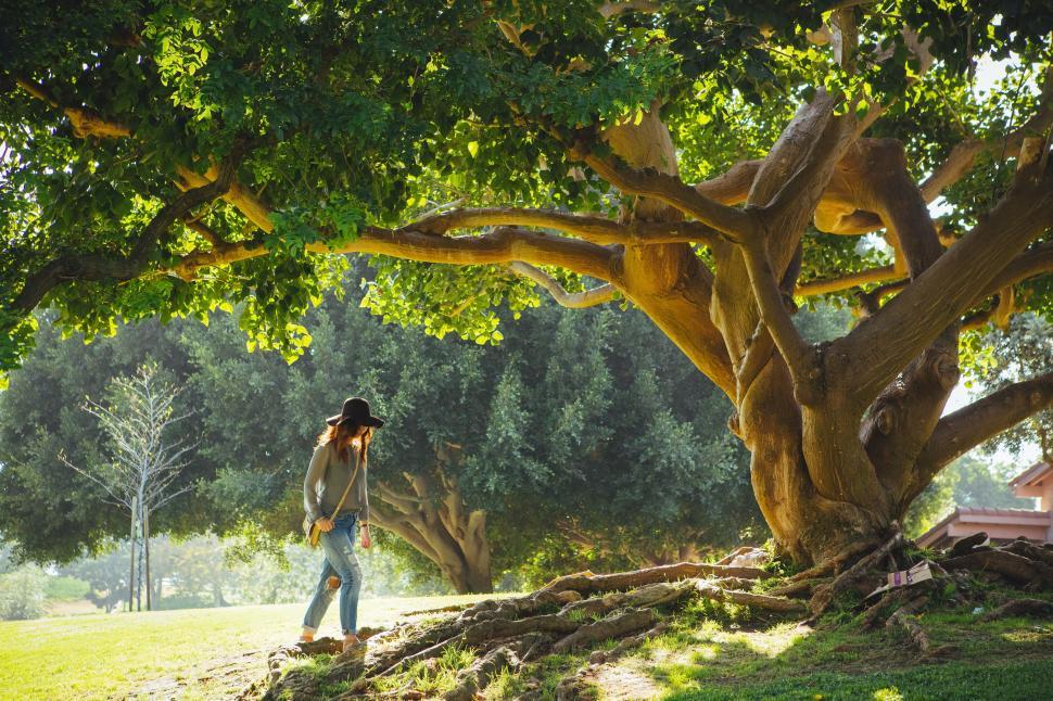 Free Image of Man Standing Under Large Tree in Park 